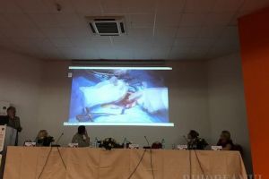 Doi medici orădeani, laureaţi cu Premiul de Excelenţă la Congresul Româno-German de Obstetrică şi Ginecologie