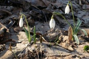 PROGNOZA METEO. Vreme deosebit de caldă pentru această perioadă. Când revin ploile şi ninsorile