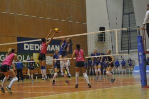 În bârlogul „tigroaicelor”