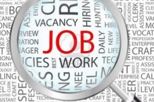 Locuri de muncă vacante