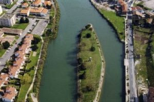 Fascinant! Această insultă trece de la o ţară la alta la fiecare şase luni! Iată motivul