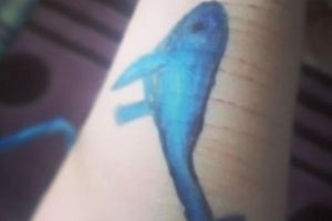 DIICOT a clasat dosarul „Balena Albastră”. Elevii care s-au sinucis nu erau implicaţi în acest joc