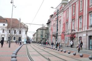 Dobra ii cere primarului Timisoarei sa ofere un alt spatiu Directiei pentru Agricultura