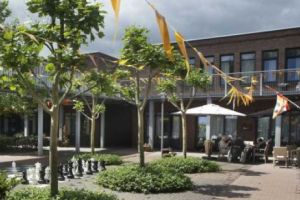  „Sat Alzheimer” pentru pacienţii cu această cumplită boală! Premieră la Institutul de Psihiatrie Socola