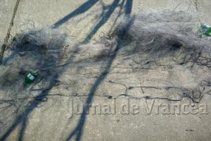 Braconieri prinşi de jandarmi pe Siret