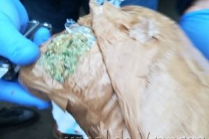 FOTO-ULTIMĂ ORĂ: Procurorii DIICOT Vrancea au făcut o captură impresionantă de droguri