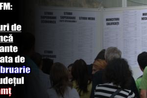 AJOFM: 431 locuri de muncă vacante la data de 3 februarie 2018 în judeţul Neamţ