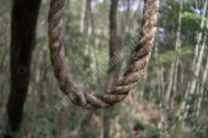 DÂMBOVIȚA: Un bărbat de 70 de ani s-a spânzurat din dragoste