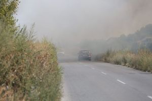 Incendiu puternic pe un camp de langa Satchinez. Pompierii s-au luptat cu flacarile patru ore