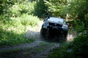 Un milionar român a chefuit şi a vânat cu fiul lui lui Trump pe un domeniu din Giurgiu 