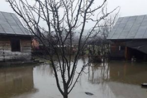 Curti si o locuinta inundata in Berbesti