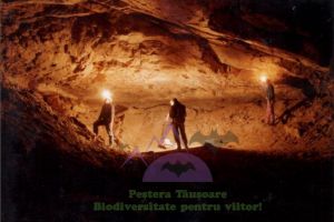 Consiliul Judeţean vrea accesibilizarea Peşterii Tăuşoare