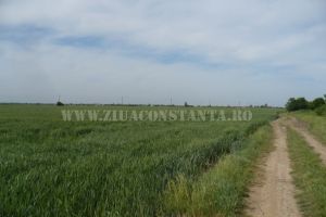 Prognoza agrometeorologica: Deficit moderat de umiditate in sol in centrul Dobrogei