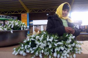 Grămezi de ghiocei răsar deja prin pieţe