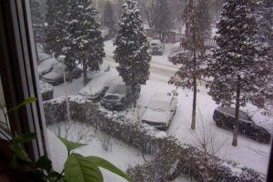 Meteorologii ne avertizează! Cod portocaliu de ninsori în mai multe judeţe!  Zonele vizate