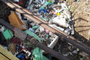 Ploiestiul, oras de lumea a 3-a. Gunoaiele si sobolanii au umplut albia paraului Dambu