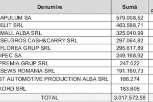 Top 10 companii care au contribuit la bugetul local din Alba Iulia în 2017