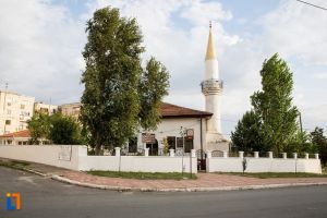 Calatori straini prin Dobrogea (CLXXIII) - Anonim (Marea Britanie - Anglia) - galerie foto