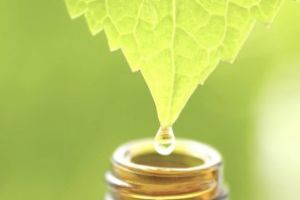 John Thomas – Ghidul tinereţii fără bătrâneţe (XL): Homeopatia