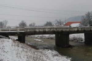 Cod galben pe Crişul Alb