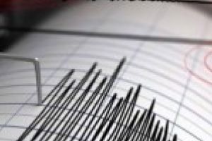 Un cutremur de 3,4 grade Richter in Vrancea si doua in Buzau, in doar doua zile