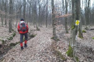 FOTO. Trasee montane în Satu Mare. Drumeţii pe jos sau pe bicicletă
