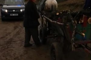FOTO: Căruţe încărcate cu lemn furat, oprite de jandarmii din Blaj. Au fost aplicate 14 amenzi în valoare de 8.000 de lei