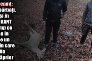 IPJ Neamţ: Acţiune de prindere în flagrant a unor braconieri