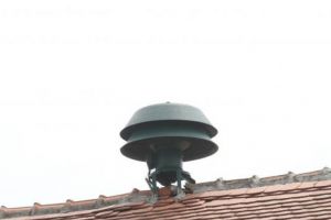 De ce or să bată clopotele, Mitică?