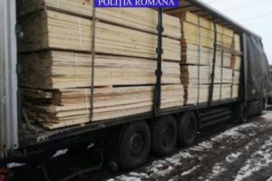 Sancţionaţi de poliţişti pentru transport de material lemnos fără documente