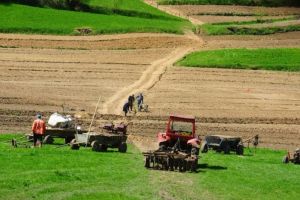 Mii de euro pentru un hectar de teren agricol în Satu Mare
