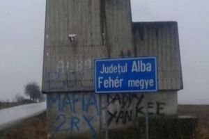 Cu ce se ocupă deputaţii români. Un parlamentar PNL e nemulţumit din cauza unui indicator bilingv