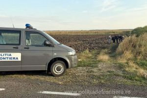Doi marocani, opriţi de poliţiştii din Borş în timp ce încercau să iasă ilegal din ţară