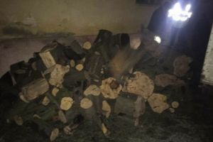 FOTO Amendă de 10.000 de lei pentru un sibian prins cu lemne furate