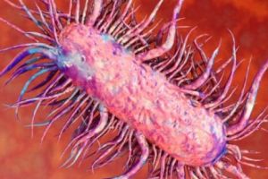 BACTERIILE i-au MÂNCAT carnea şi era să moară. Un tânăr de 31 de ani are un sfat preţios - FOTO