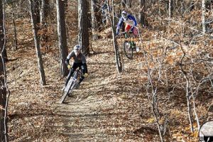 Bughea de Jos, comuna unde primarul a închis robinetul risipei