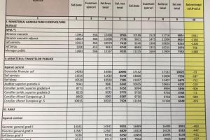 FOTO/ GRILA Guvernului: Cine sunt bugetarii care pierd la salariu în 2018