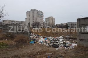 Imagini dezolante in centrul Constantei: Fosta fabrica de paine Dobrogea, transformata in groapa de gunoi (galerie foto)