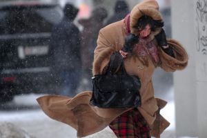 Cod galben de vânt şi vijelii în Bihor