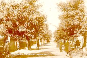 Pagini de istorie locală: Viaţa spirituală în oraşul Vaslui până la Marea Unire din 1918