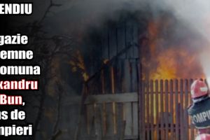 Incendiu la o magazie de lemne în comuna Alexandru cel Bun, stins de pompieri