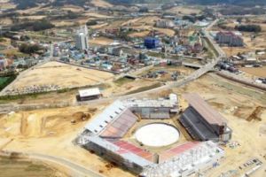 Un NOROVIRUS face ravagii în Coreea de Sud. Soldaţii iau locul gărzilor de securitate la JOCURILE OLIMPICE 