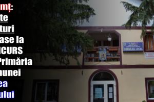 Neamţ: Șapte posturi scoase la CONCURS de Primăria comunei Valea Ursului