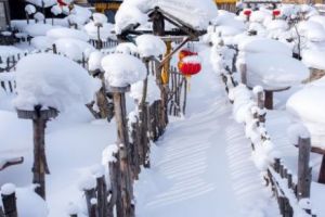 Cea mai abundentă NINSOARE din ultimele PATRU DECENII!  Mii de maşini BLOCATE în nămeţi. Au intervenit militarii