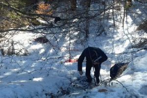 FOTO: Mureşean fără adăpost, devorat de animale