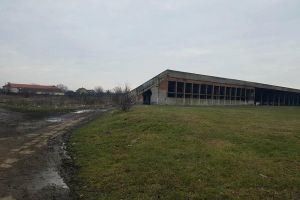 Primarul vrea Sală Polivalentă la Noroieni, consilierii PSD au altă variantă. ,,Să renunţăm la orgolii”