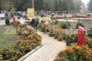 Primaria Constanta, pusculita cu bani publici: Cati bani au incasat in ultimii 16 ani de la municipalitate Pomacost si Sport Turism pentru spatiile verzi (documente)