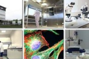 OncoGen, în elita cercetării europene; imunoterapia personalizată cu celule modificate genetic, o nouă revoluţie