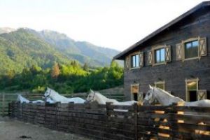 Peste 130 de persoane au urmat cursuri de echitaţie la Centrul ecvestru al Primăriei Sfântu Gheorghe