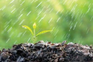 John Thomas – Ghidul tinereţii fără bătrâneţe (XLII): Exploziile